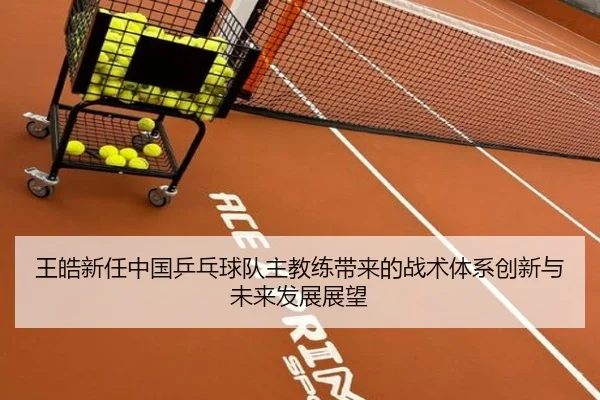 王皓新任中国乒乓球队主教练带来的战术体系创新与未来发展展望